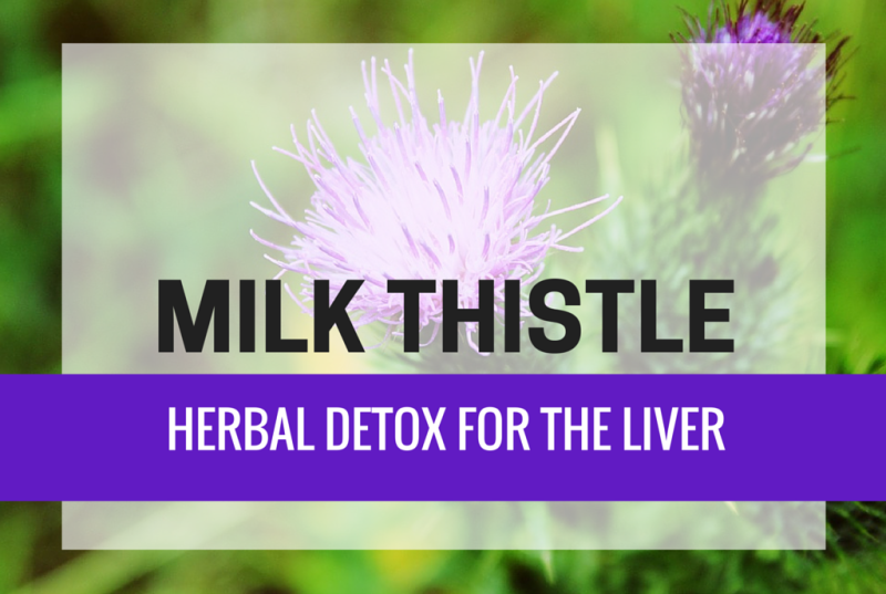 Milk Thistle Benefits, Uses And Side Effects · HealthKart